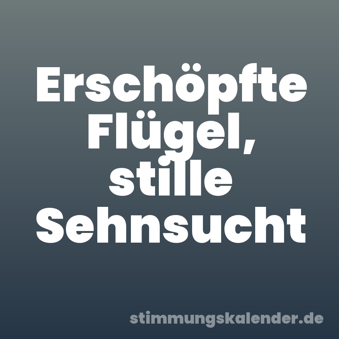 Erschöpfte Flügel, stille Sehnsucht
