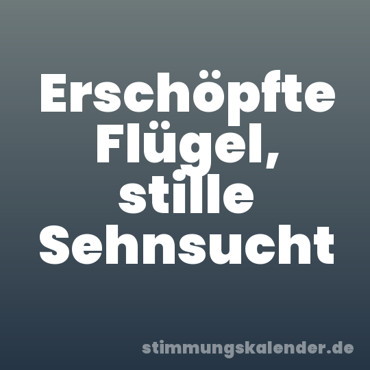 Erschöpfte Flügel, stille Sehnsucht