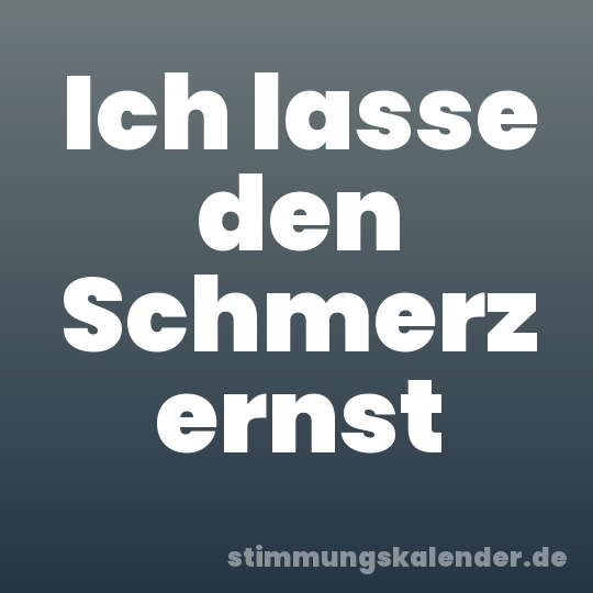 Ich lasse den Schmerz ernst