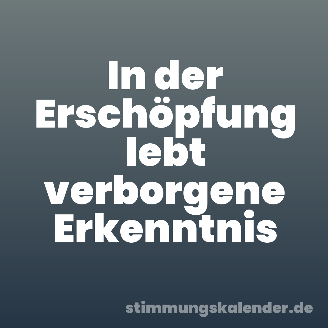 In der Erschöpfung lebt verborgene Erkenntnis