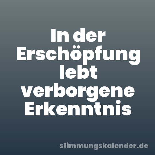 In der Erschöpfung lebt verborgene Erkenntnis