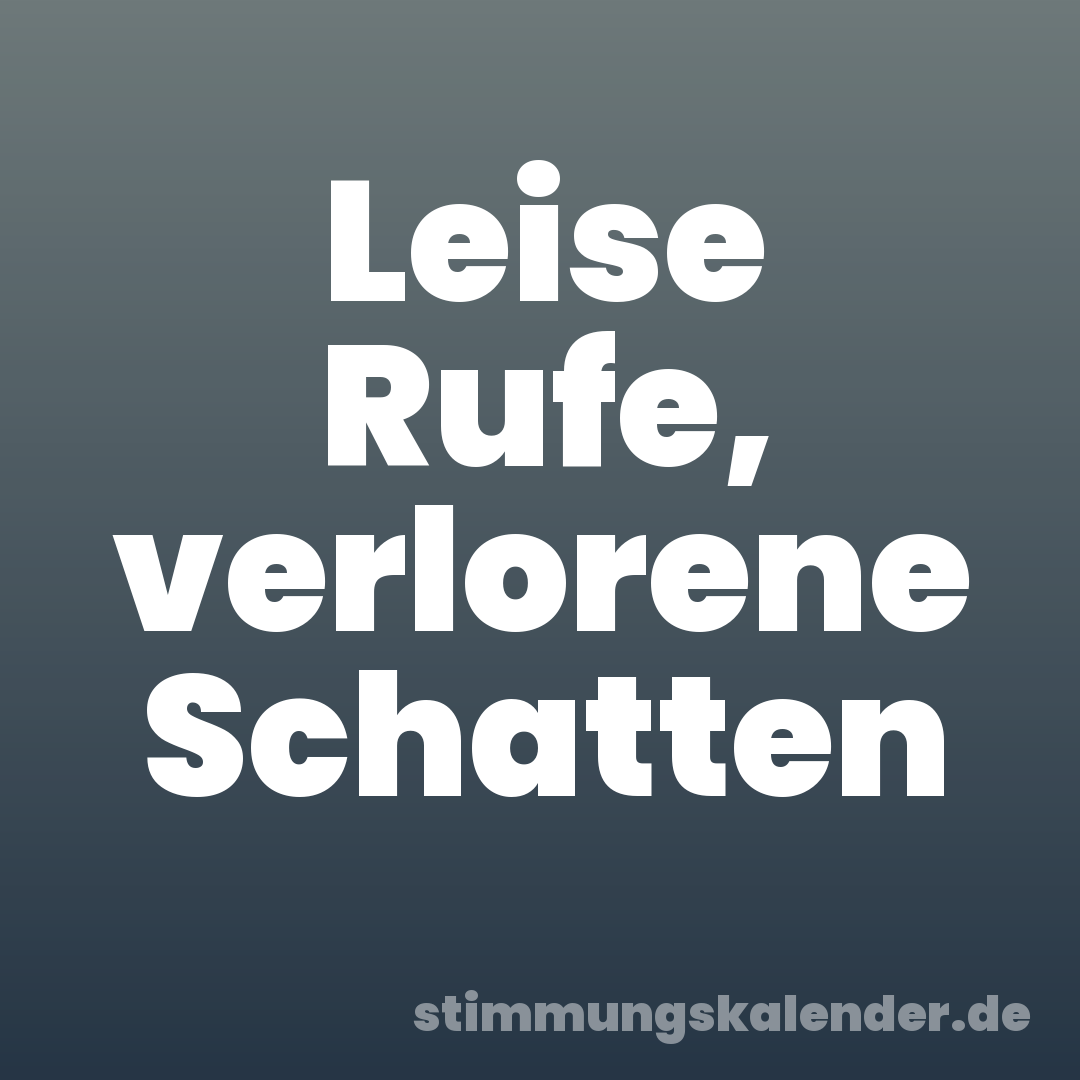 Leise Rufe, verlorene Schatten