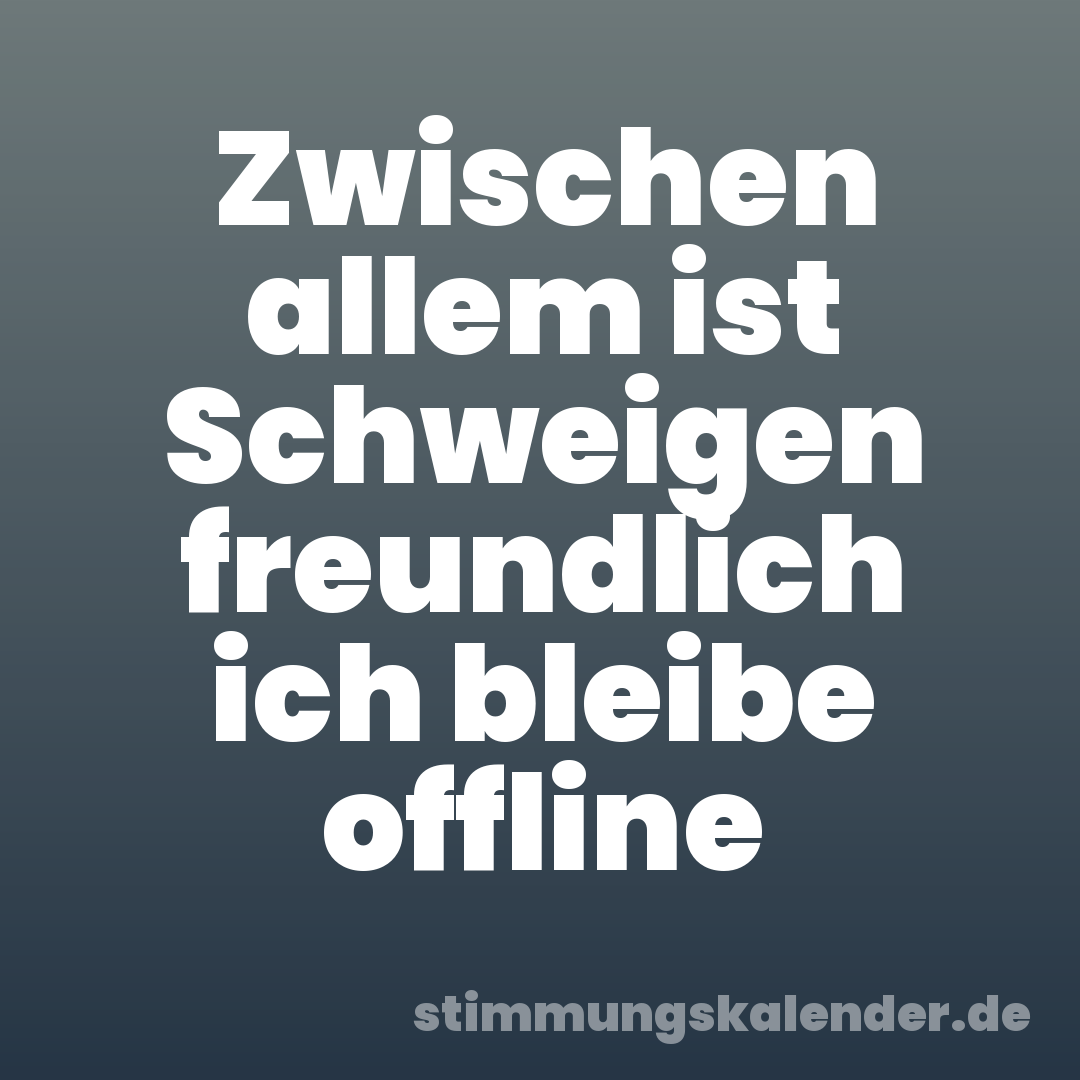 Zwischen allem ist Schweigen freundlich ich bleibe offline