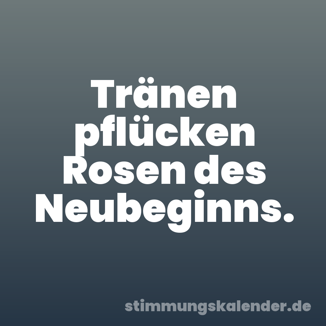 Tränen pflücken Rosen des Neubeginns.