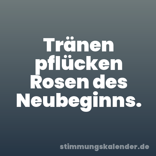 Tränen pflücken Rosen des Neubeginns.