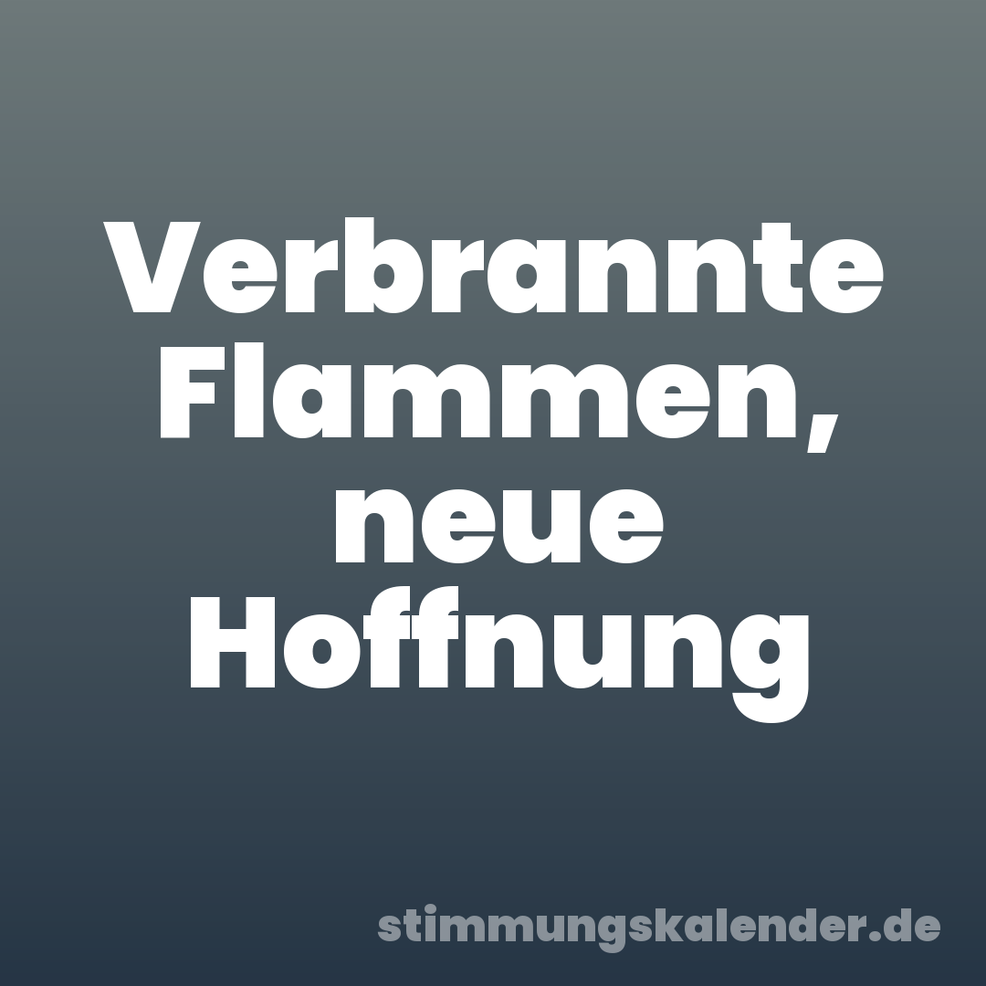 Verbrannte Flammen, neue Hoffnung