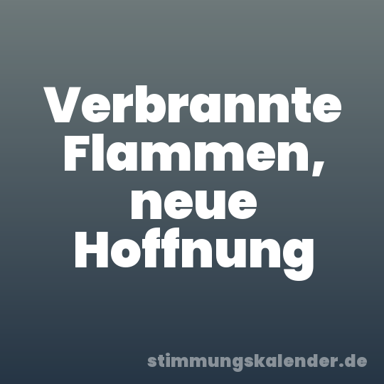 Verbrannte Flammen, neue Hoffnung