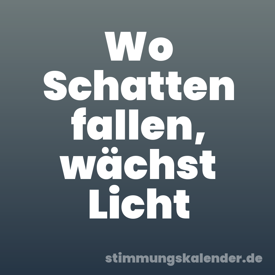 Wo Schatten fallen, wächst Licht