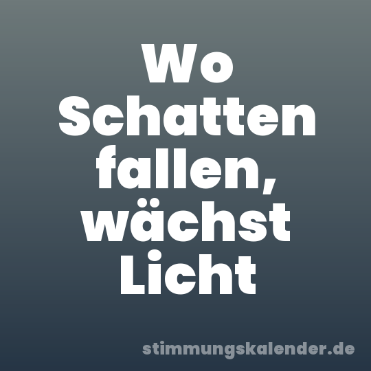 Wo Schatten fallen, wächst Licht