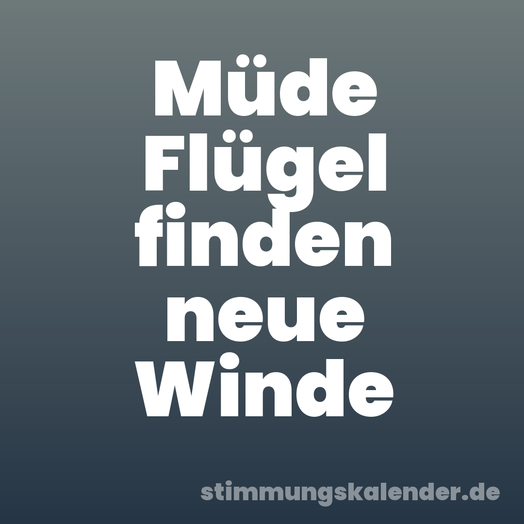 Müde Flügel finden neue Winde