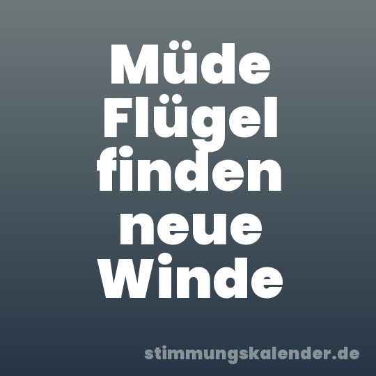 Müde Flügel finden neue Winde