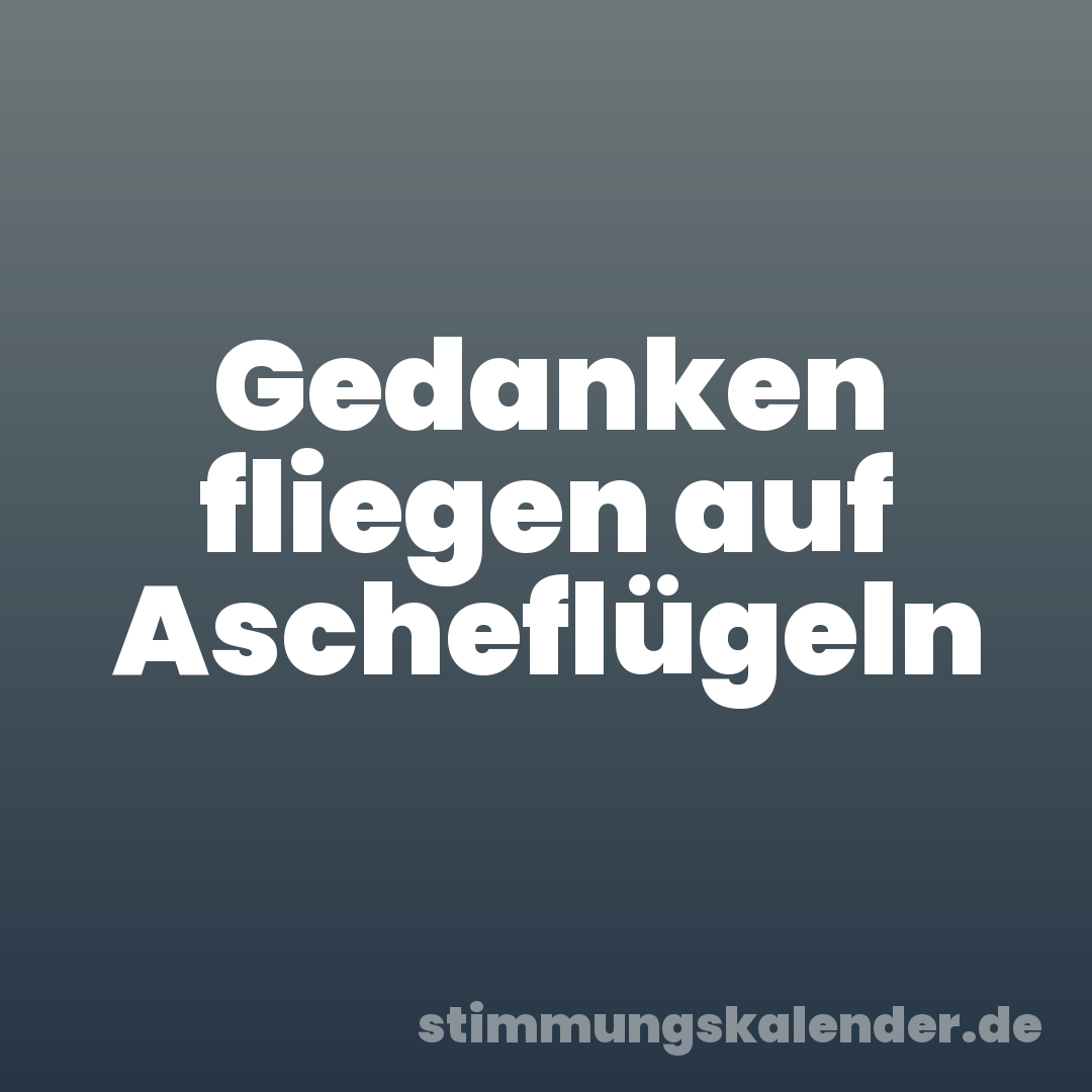 Gedanken fliegen auf Ascheflügeln