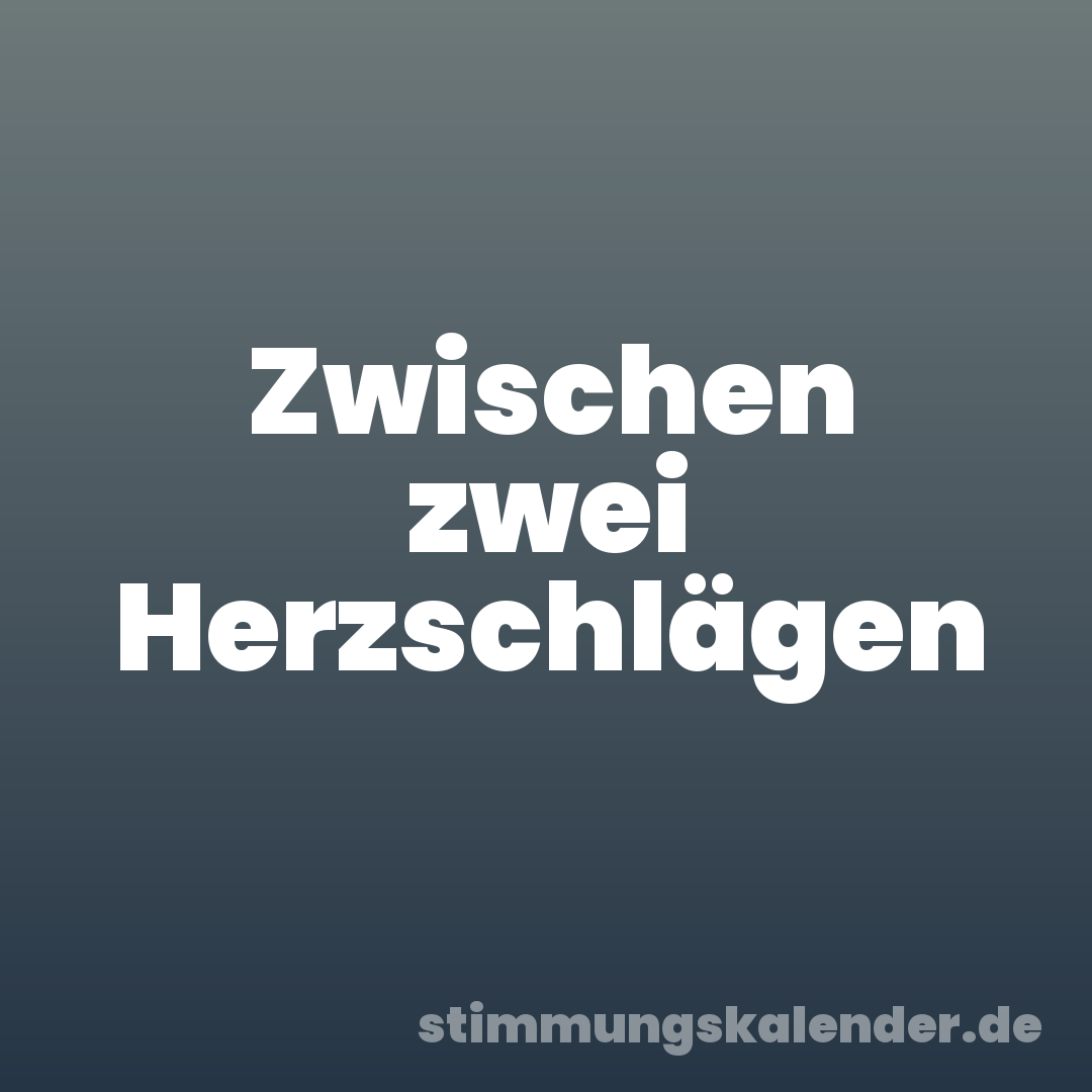 Zwischen zwei Herzschlägen