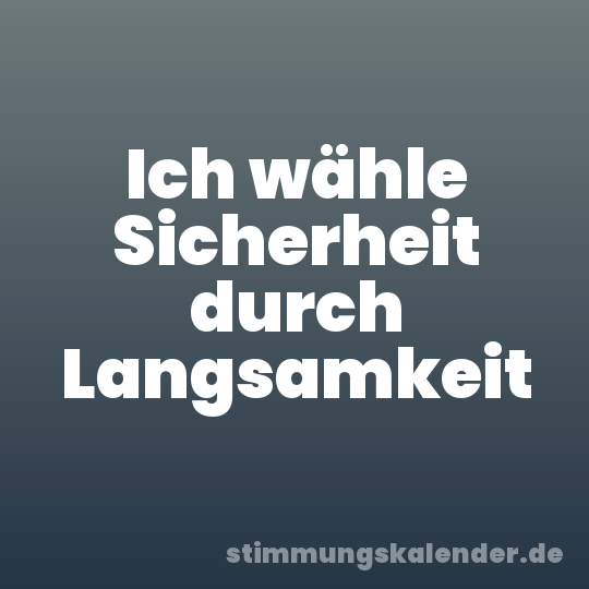 Ich wähle Sicherheit durch Langsamkeit