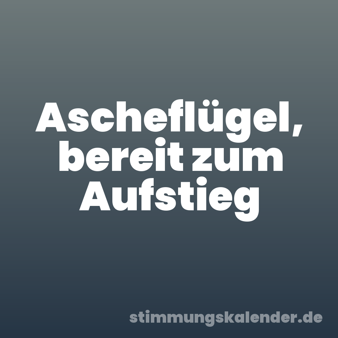 Ascheflügel, bereit zum Aufstieg