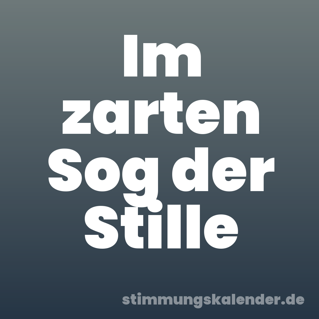 Im zarten Sog der Stille