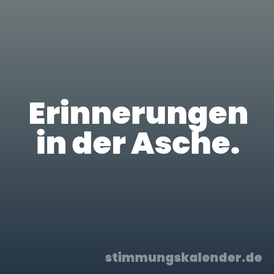 Erinnerungen in der Asche.