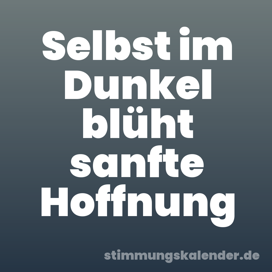 Selbst im Dunkel blüht sanfte Hoffnung