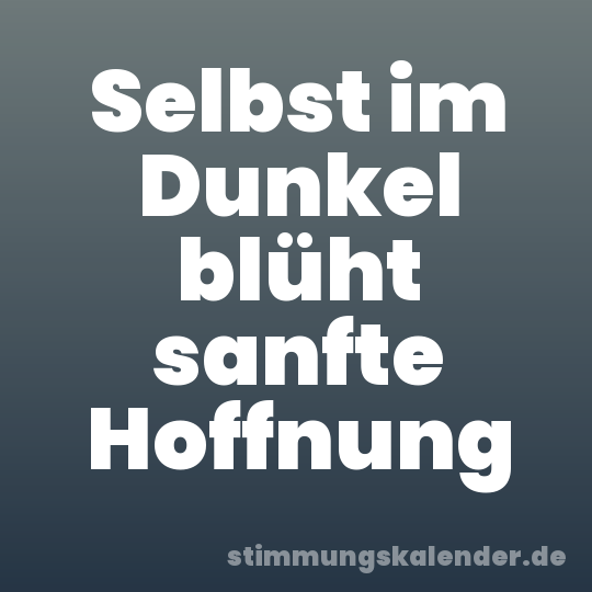 Selbst im Dunkel blüht sanfte Hoffnung