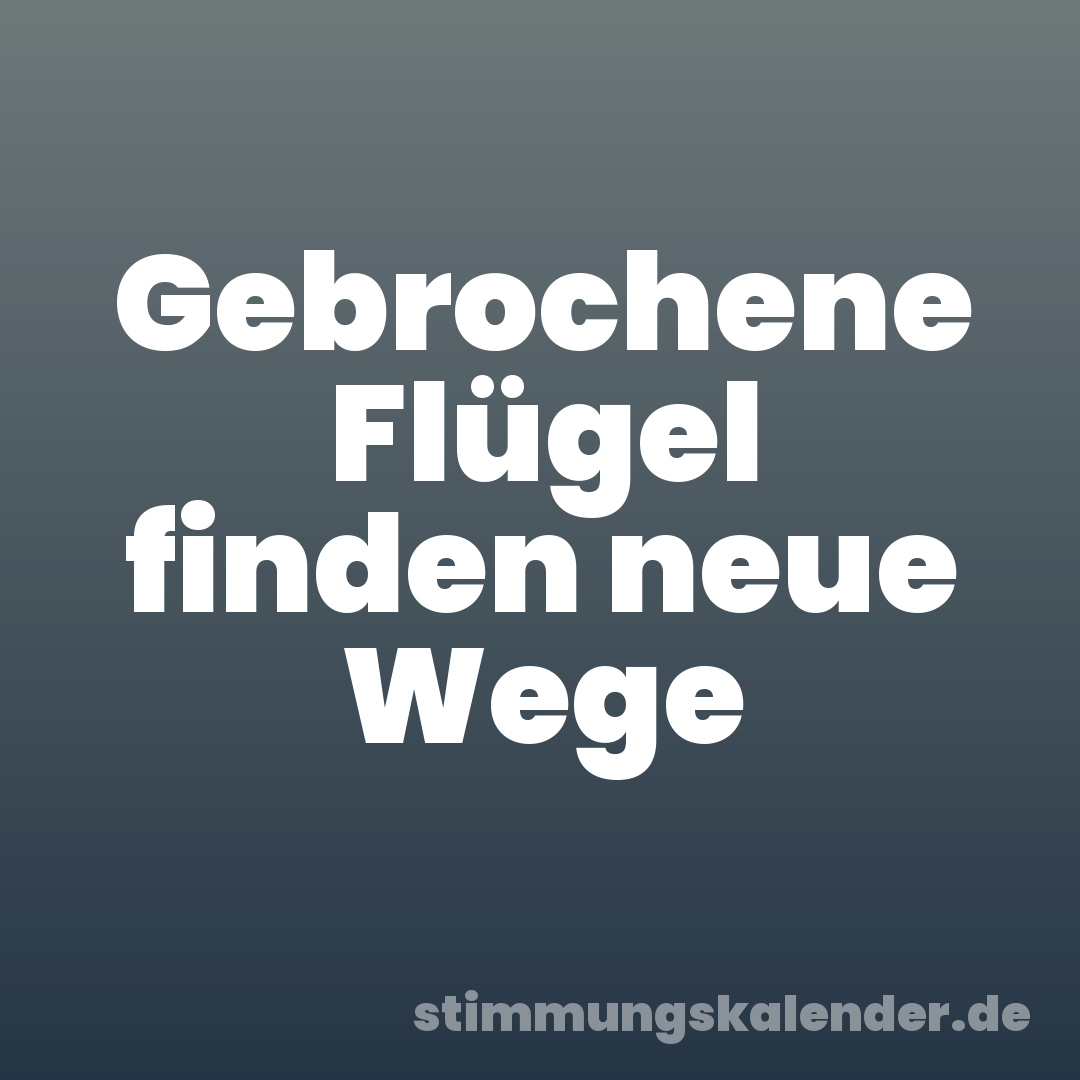 Gebrochene Flügel finden neue Wege