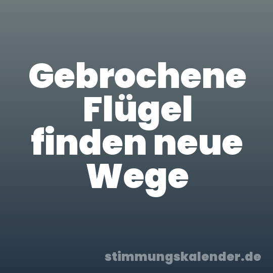 Gebrochene Flügel finden neue Wege