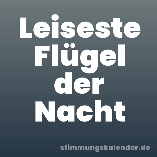 Leiseste Flügel der Nacht