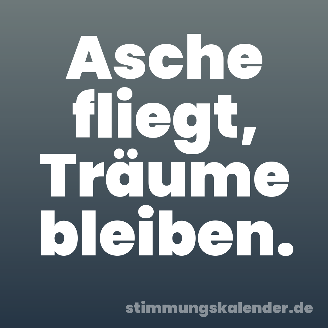 Asche fliegt, Träume bleiben.