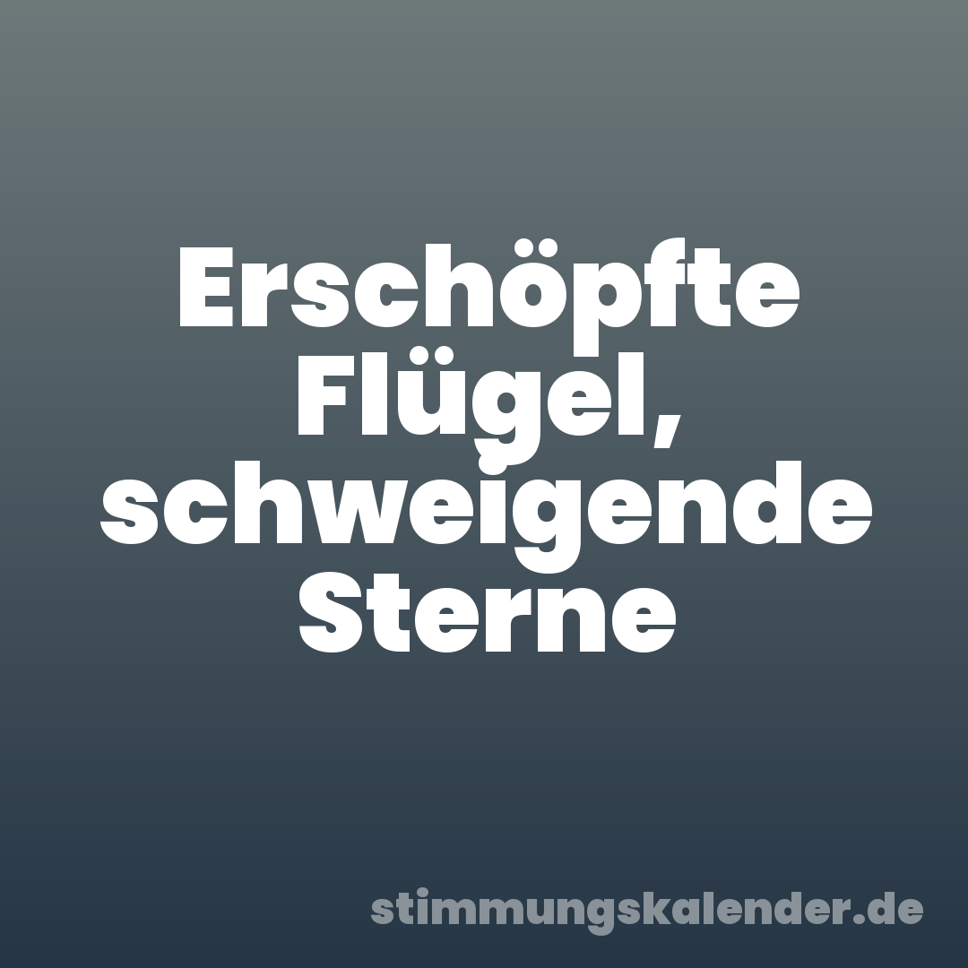 Erschöpfte Flügel, schweigende Sterne