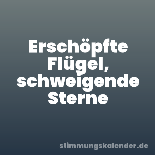 Erschöpfte Flügel, schweigende Sterne