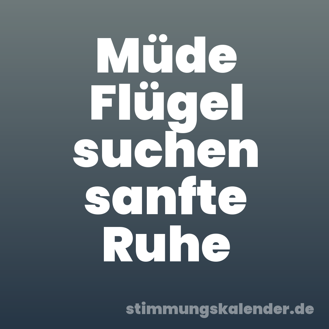 Müde Flügel suchen sanfte Ruhe