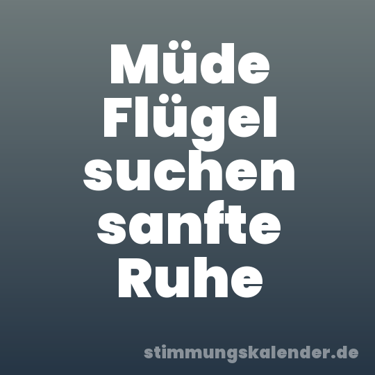 Müde Flügel suchen sanfte Ruhe