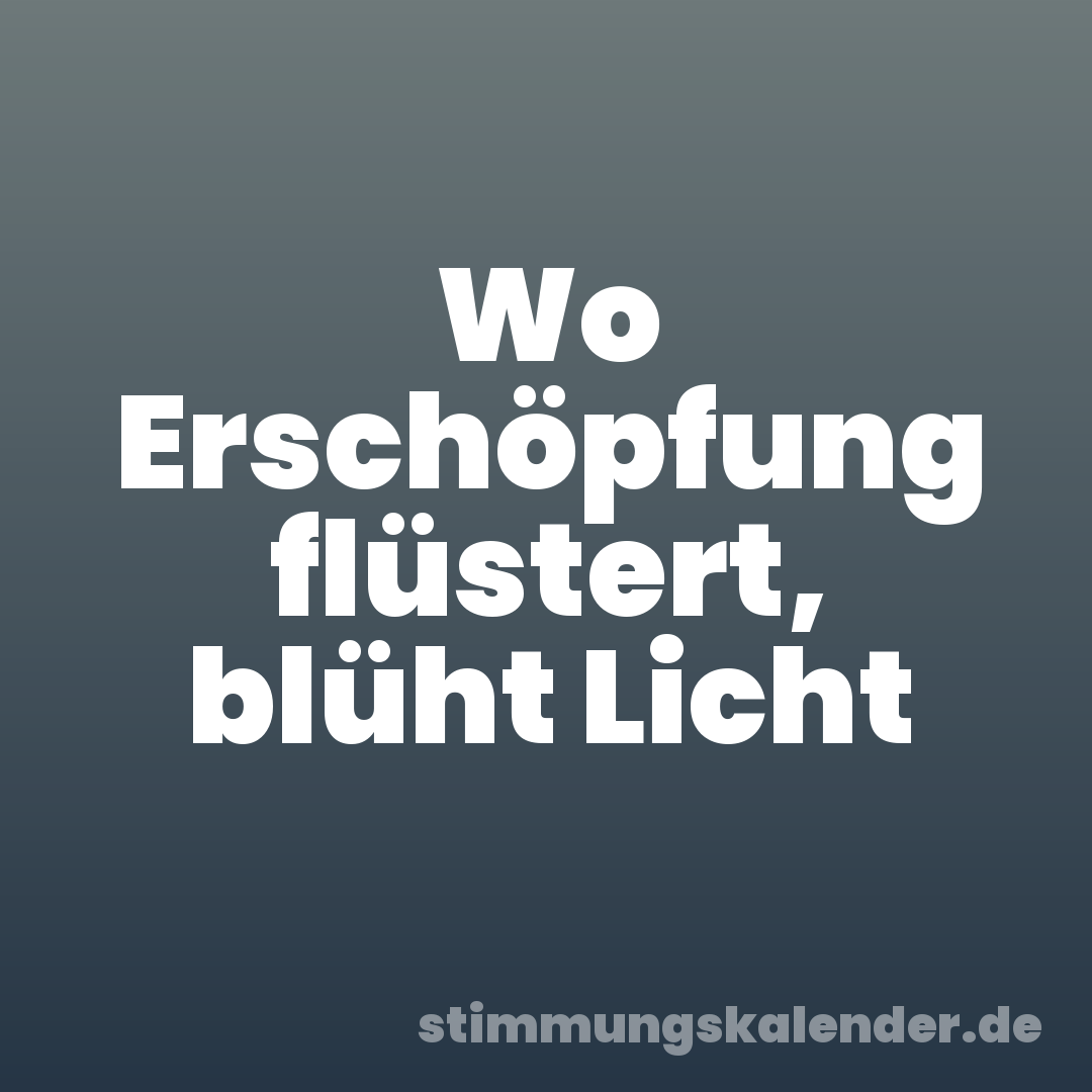 Wo Erschöpfung flüstert, blüht Licht