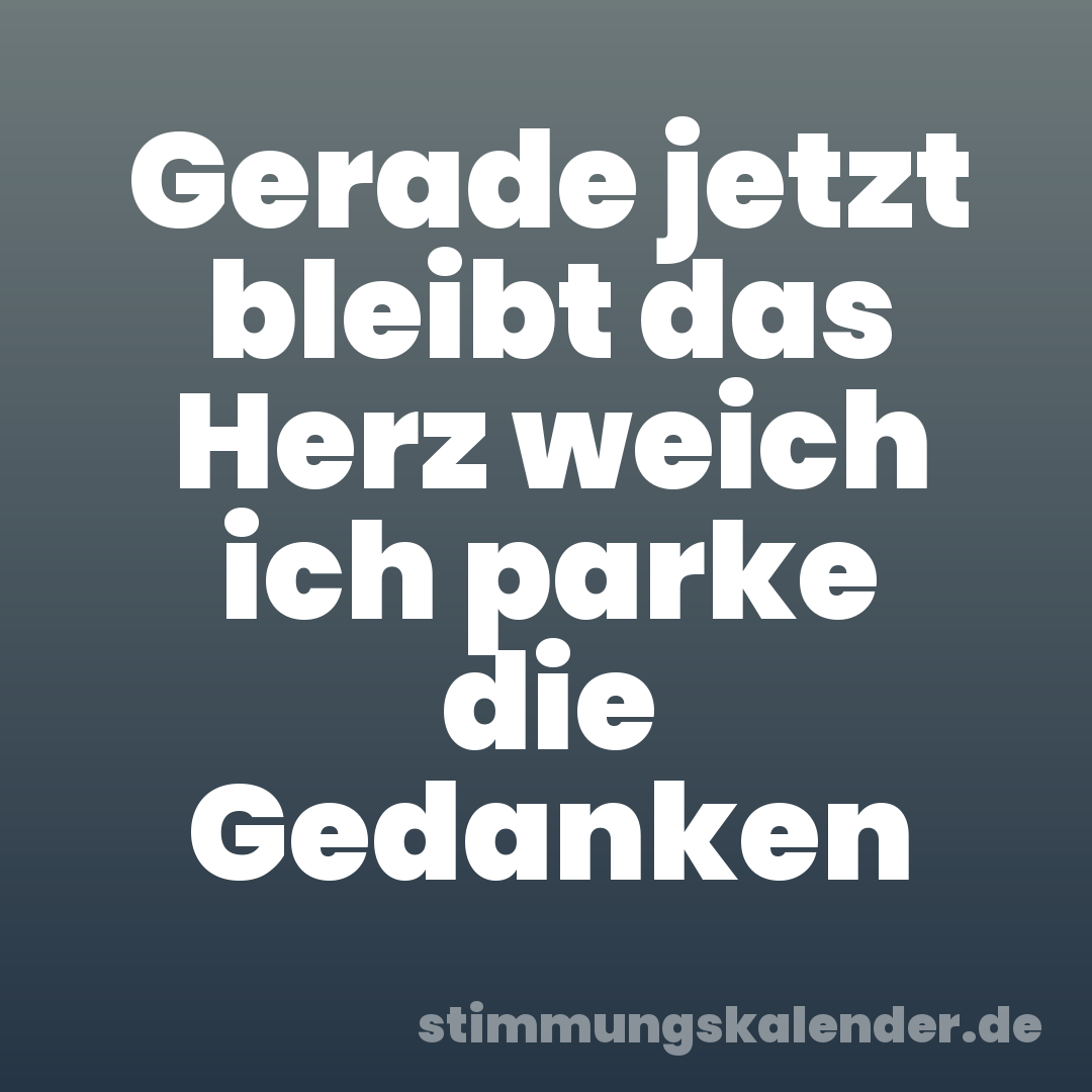 Gerade jetzt bleibt das Herz weich ich parke die Gedanken