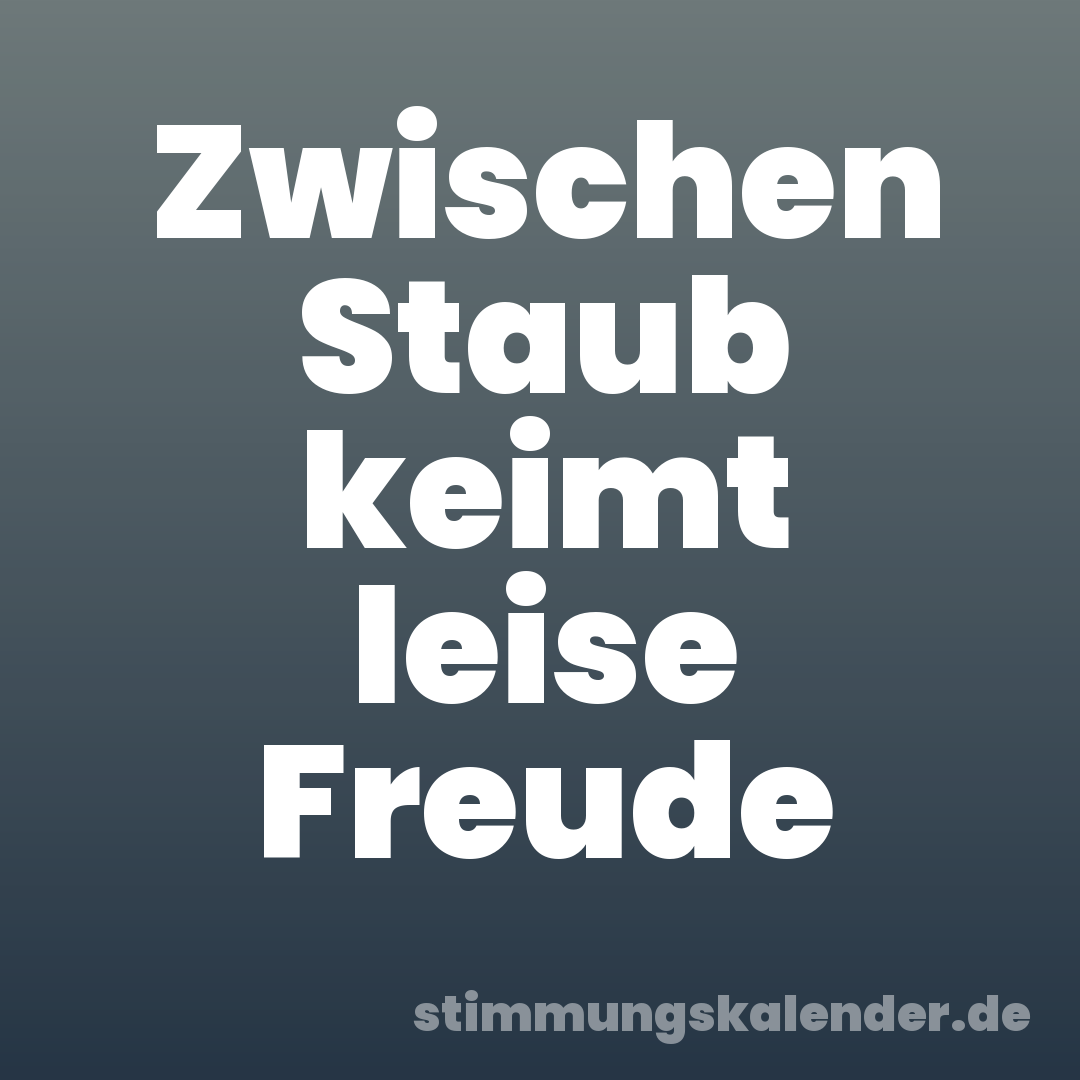 Zwischen Staub keimt leise Freude