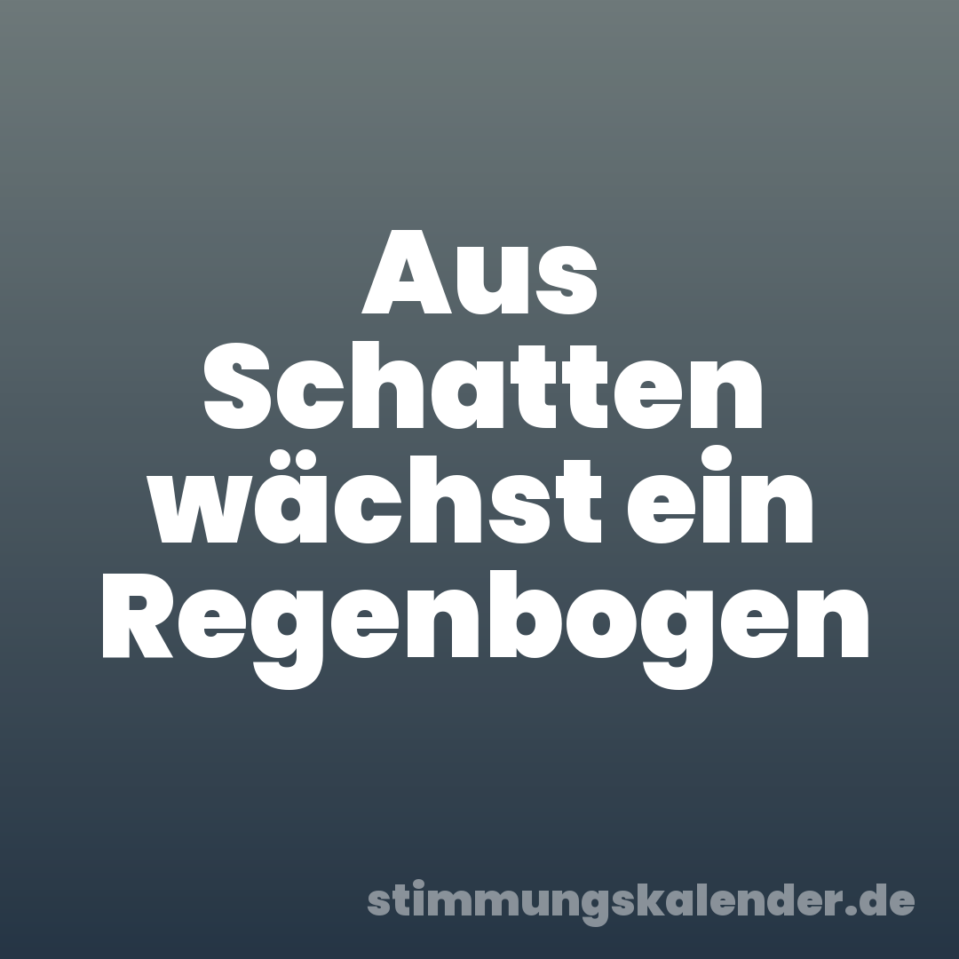 Aus Schatten wächst ein Regenbogen