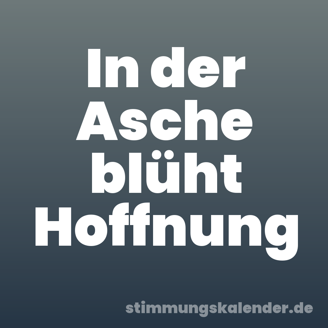 In der Asche blüht Hoffnung