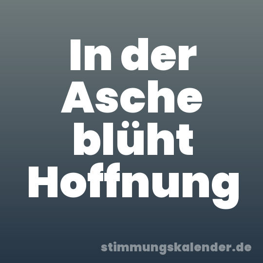 In der Asche blüht Hoffnung