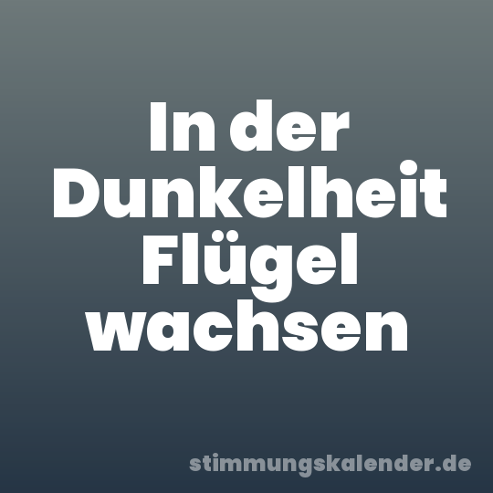 In der Dunkelheit Flügel wachsen