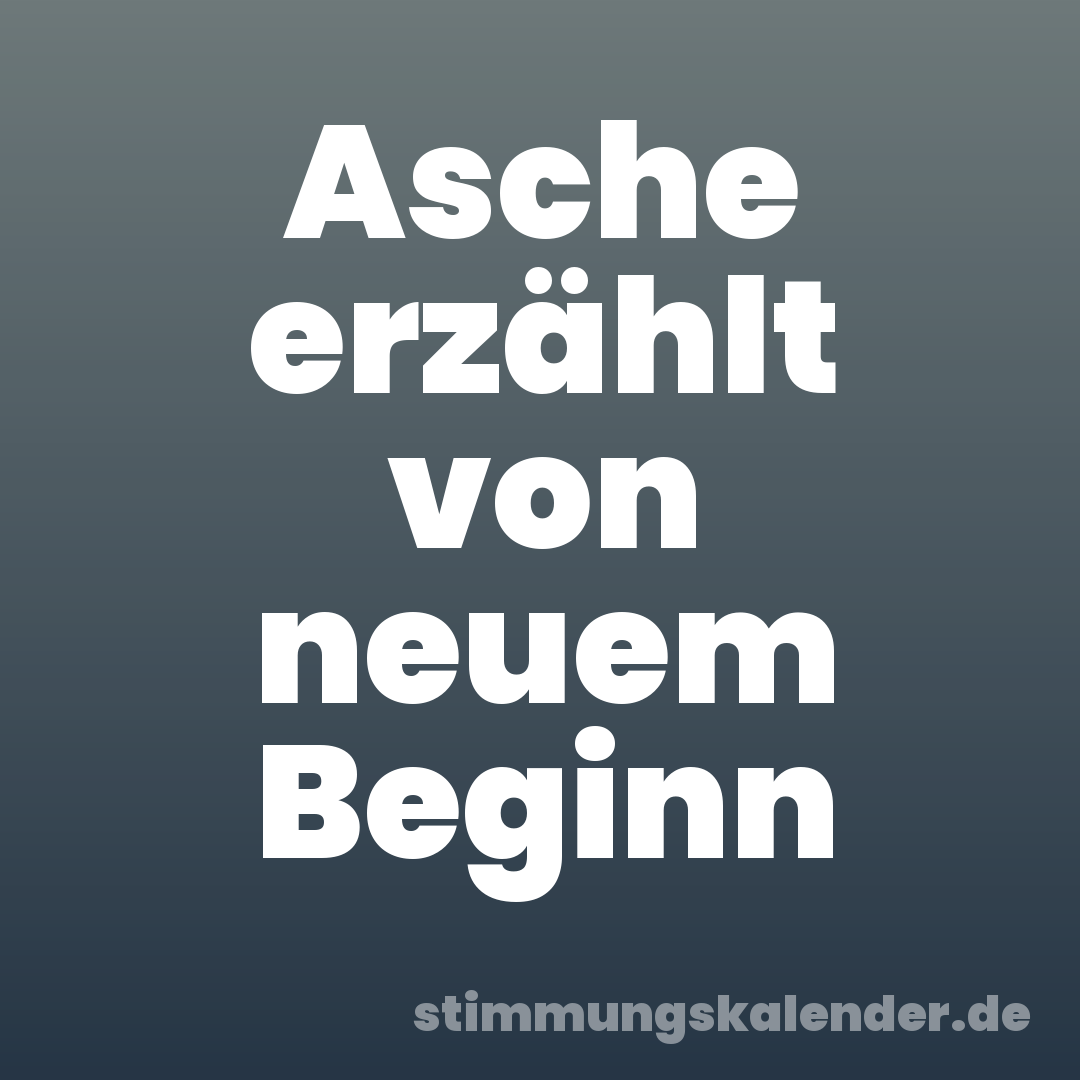Asche erzählt von neuem Beginn