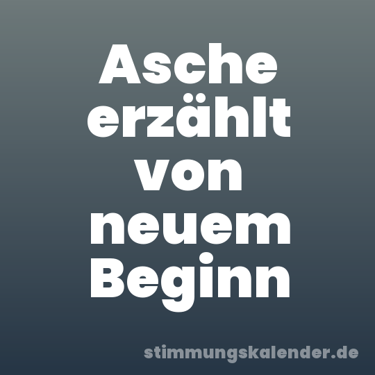 Asche erzählt von neuem Beginn