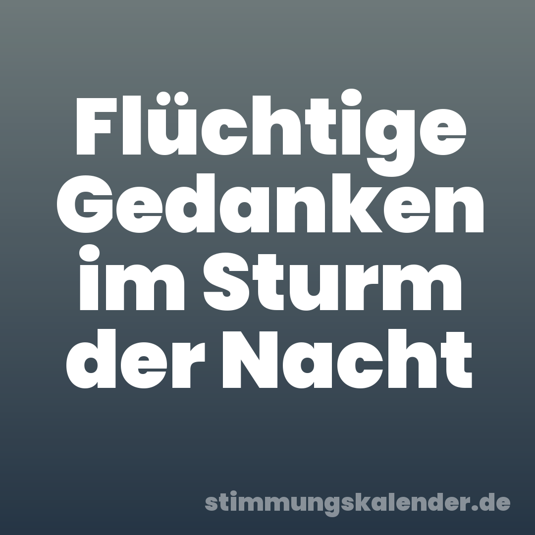 Flüchtige Gedanken im Sturm der Nacht