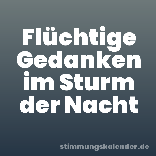 Flüchtige Gedanken im Sturm der Nacht