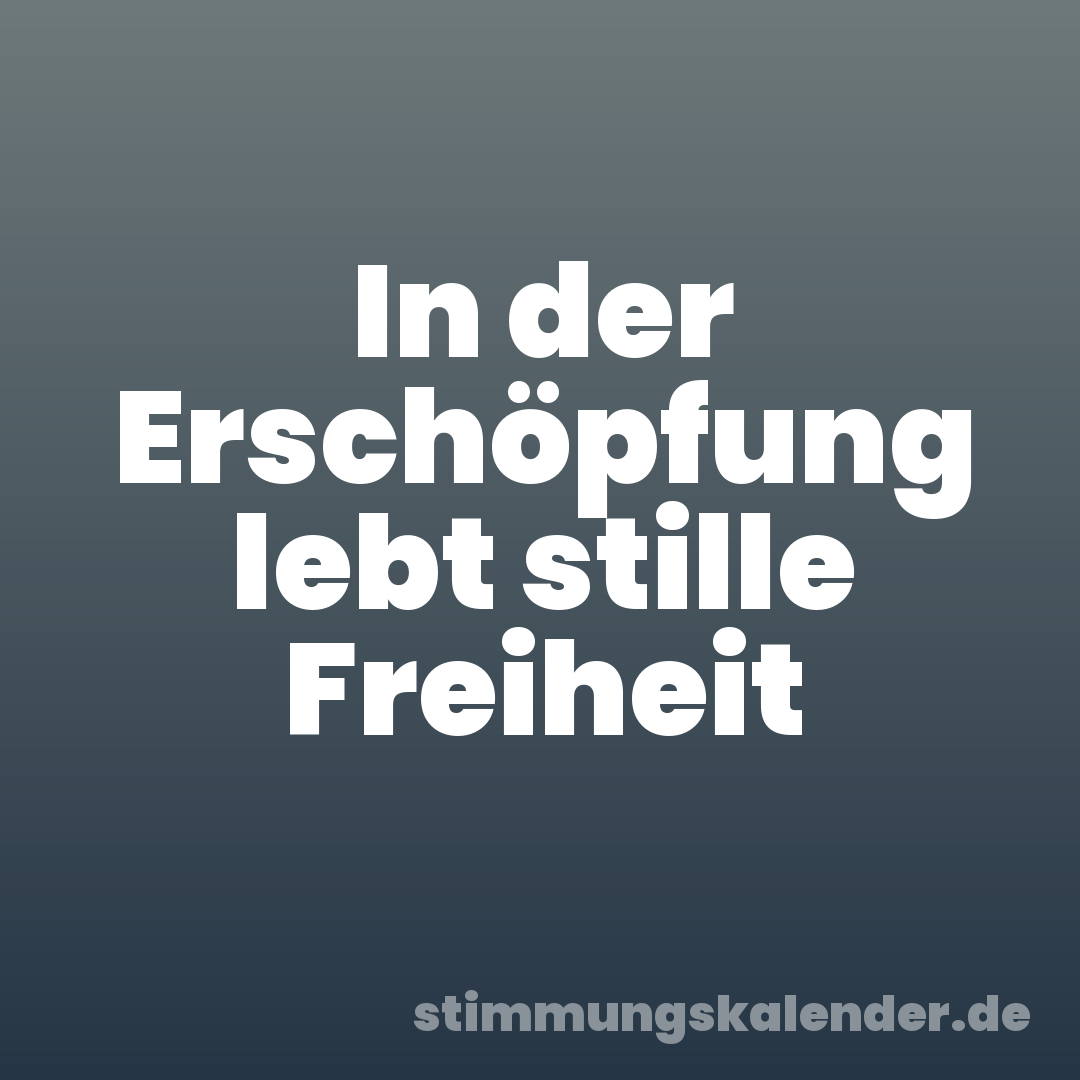 In der Erschöpfung lebt stille Freiheit