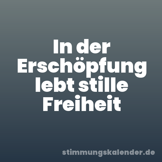 In der Erschöpfung lebt stille Freiheit