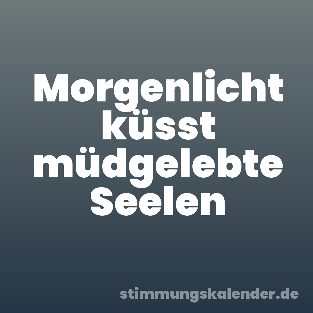 Morgenlicht küsst müdgelebte Seelen