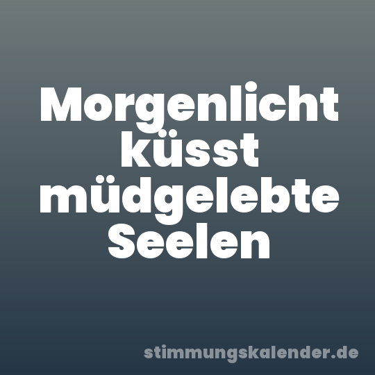 Morgenlicht küsst müdgelebte Seelen