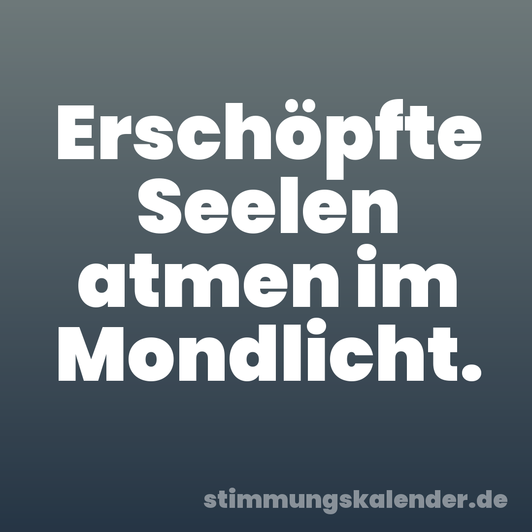 Erschöpfte Seelen atmen im Mondlicht.