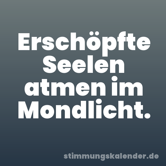 Erschöpfte Seelen atmen im Mondlicht.