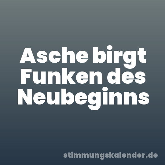Asche birgt Funken des Neubeginns