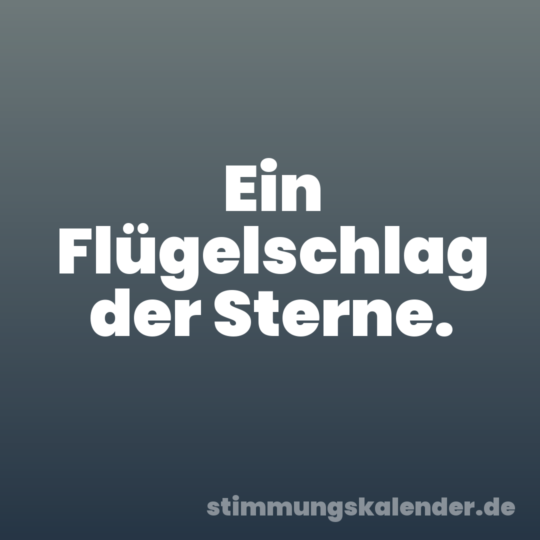 Ein Flügelschlag der Sterne.